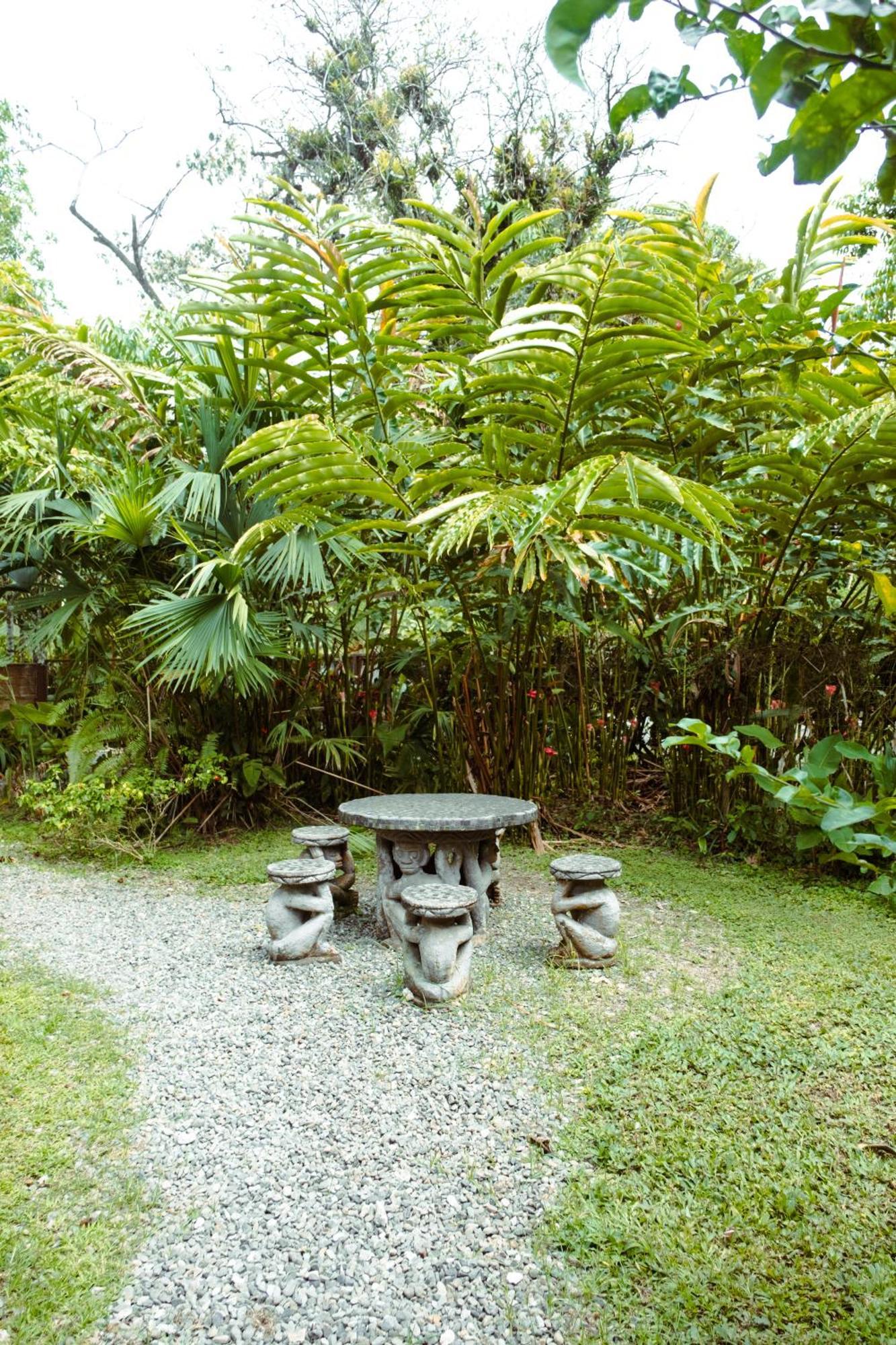Pura Vida Vegana Hotel Cahuita Exterior photo